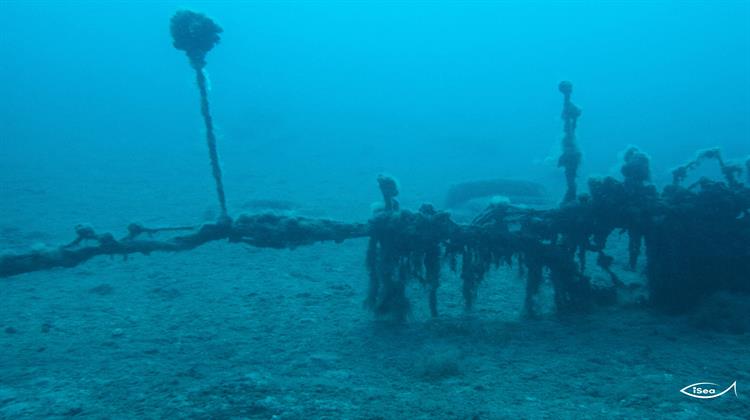 Σοβαρή Καταστροφή των Λιβαδιών Ποσειδωνίας σε Πόρο και Μέθανα